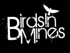 Image for Birds in Mines