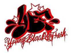 Image for Young Black & Fresh (Y.B.F.)