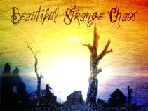 Beautiful Strange Chaos