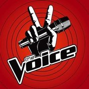 1428526753 the voice logo
