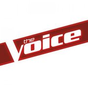 The voice logo