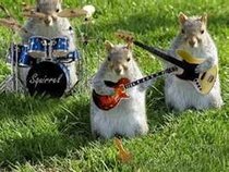 THE SQUIRRELS