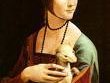 lady elton the ferret