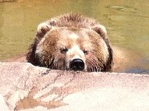 Big Freakin' Brown Bear