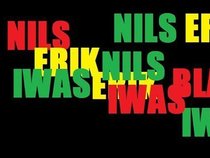 Nils Erik Iwas
