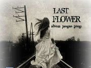 Last Flower