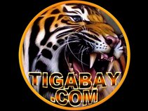 Tigabay34