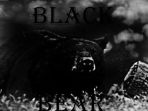 Mr Black Bear