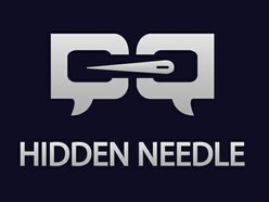 Hidden Needle