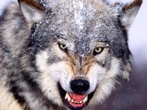 silverwolf68