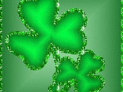 shakinshamrocks