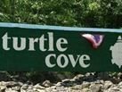 Turtle Cove Poa