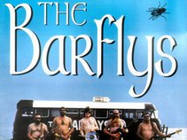 the barflys