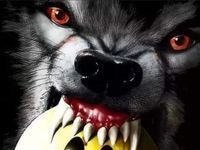 Wolfdawg Howlingbass