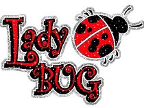 LadyBug305