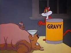 Gravy Cat