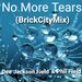 No More Tears (BrickCityMix)