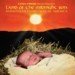 Land of the Midnight Son: Norwegian Christmas in America