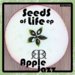 Seeds of Life Ep [RDR006]
