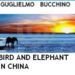 BIRD AND ELEPHANT IN CHINA 2009