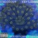 Knoccout & Key Loads - Trayditional Crippin
