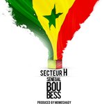 Senegal Bou bess