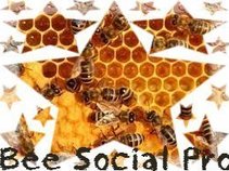 Bee Social Pro