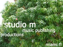 studio m music publishing