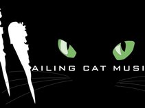 Wailing Cat Music