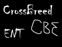 CrossBreed Ent