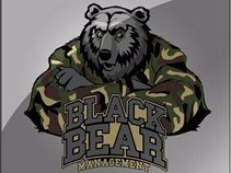 Black Bear Management