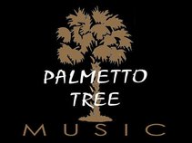 Palmetto Tree Music