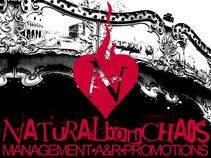 Naturalbornchaos Management