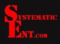 Systematic Entertainment