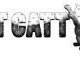 FATT CATT Media, LLC