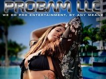 ProBam LLC