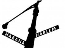 Habana/Harlem®