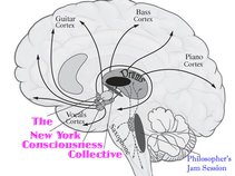 The New York Consciousness Collective