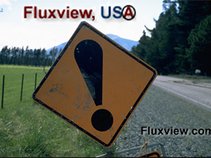 Fluxview, USA ~ Visual Consulting