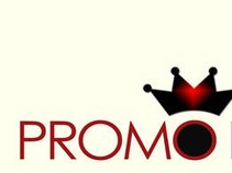 Promo Palace LLC