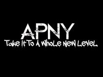 Affinity Productions NY