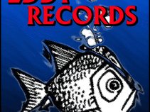 Deep Eddy Records