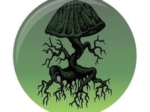 Mushroom Hunters Records