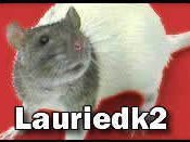 Lauriedk2
