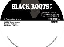 Black Roots Records
