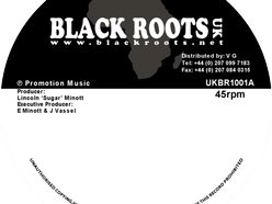 Black Roots Records