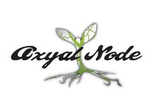 Axyal Node LLC