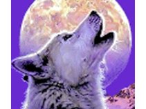White Wolf Film & Audio Productions