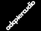Adapter Audio