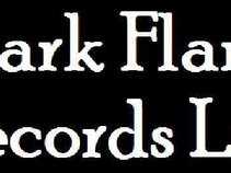 Dark Flare Records